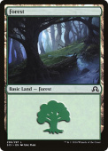 Forest Forest