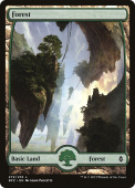 Forest Forest