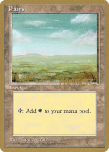 Plains Plains