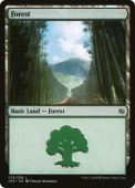 Forest Forest