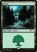 Forest Forest