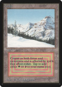 Taiga Taiga