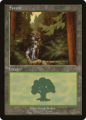 Forest Forest