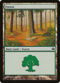 Forest Forest