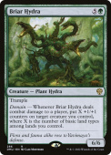 Briar Hydra Briar Hydra