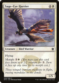 Sage-Eye Harrier Sage-Eye Harrier
