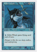 Killer Whale Killer Whale