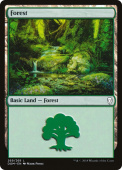 Forest Forest