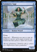 Symmetry Sage Symmetry Sage