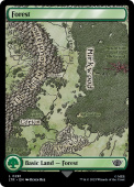 Forest Forest