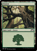 Forest Forest