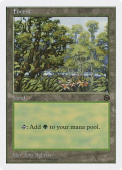 Forest Forest