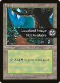 Forest Forest