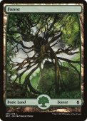 Forest Forest