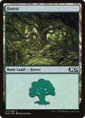 Forest Forest
