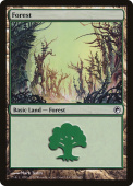 Forest Forest