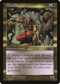 Wood Sage Wood Sage