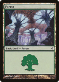 Forest Forest