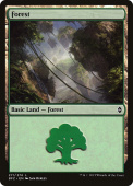 Forest Forest