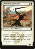 Champion of Arashin Champion of Arashin