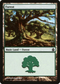 Forest Forest
