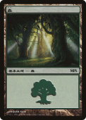 Forest Forest