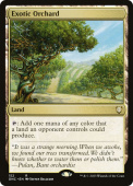 Exotic Orchard Exotic Orchard