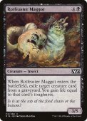 Rotfeaster Maggot Rotfeaster Maggot