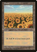 Plains Plains