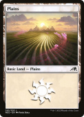 Plains Plains