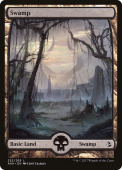 Swamp Swamp