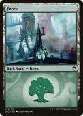 Forest Forest