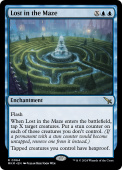Lost in the Maze Lost in the Maze