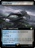 Fetid Pools Fetid Pools