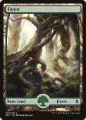 Forest Forest