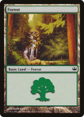 Forest Forest