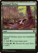 Tranquil Thicket Tranquil Thicket