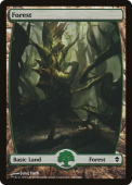 Forest Forest