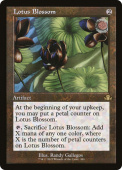 Lotus Blossom Lotus Blossom