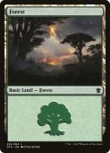 Forest Forest