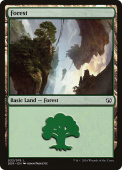 Forest Forest