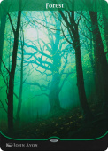 Forest Forest