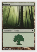 Forest Forest