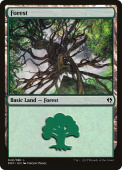 Forest Forest