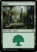 Forest Forest