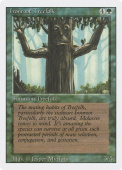 Ironroot Treefolk Ironroot Treefolk