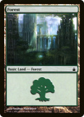 Forest Forest