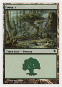 Forest Forest