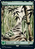 Forest Forest