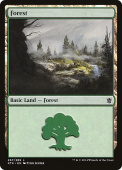 Forest Forest